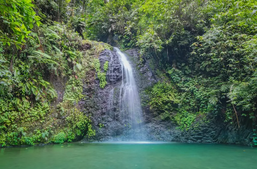 Cascade Saut Gendarme — forêt tropicale